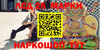 Альфа ПВП Ставрополь
