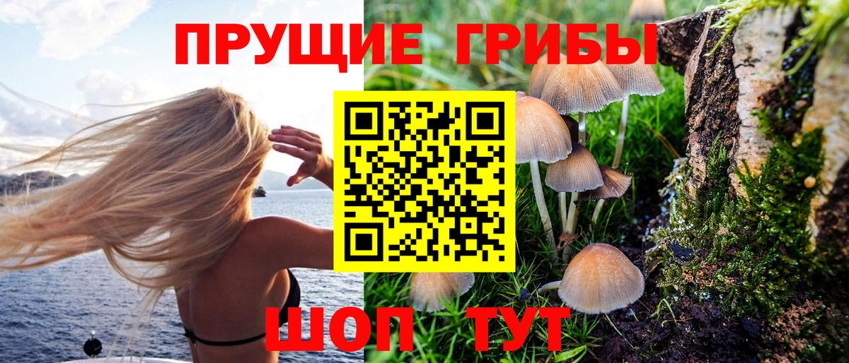 Галлюциногенные грибы Magic Shrooms Нальчик