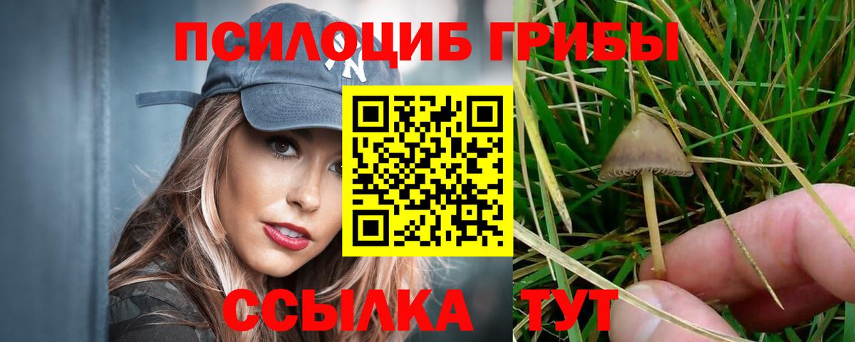 Нальчик  Галлюциногенные грибы ЛСД  Галлюциногенные грибы мицелий  Вход с VPN 
